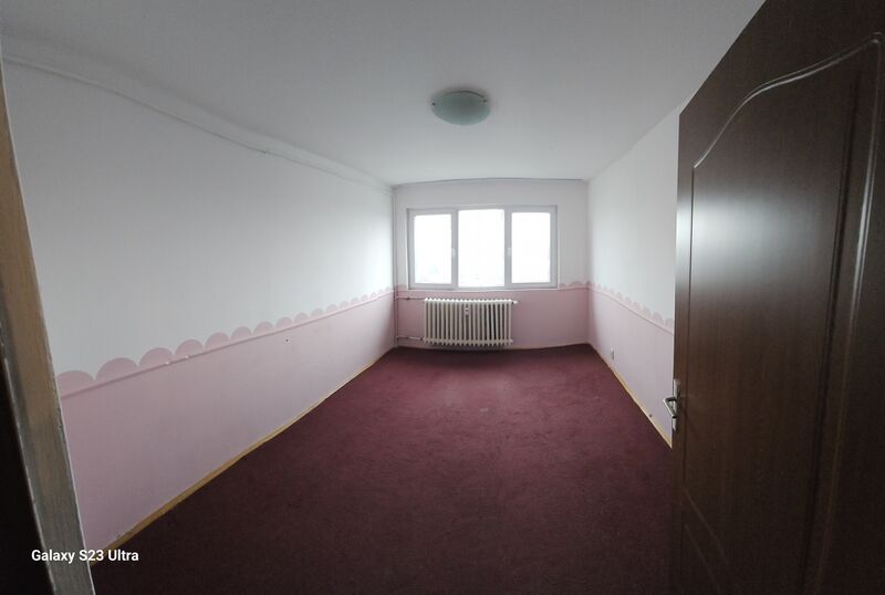 Camil Ressu, Park Lake,