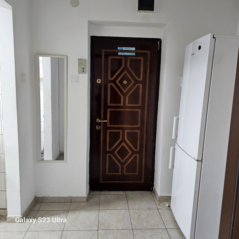 Camil Ressu, Park Lake,