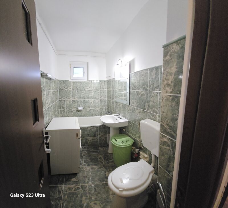 Camil Ressu, Park Lake,