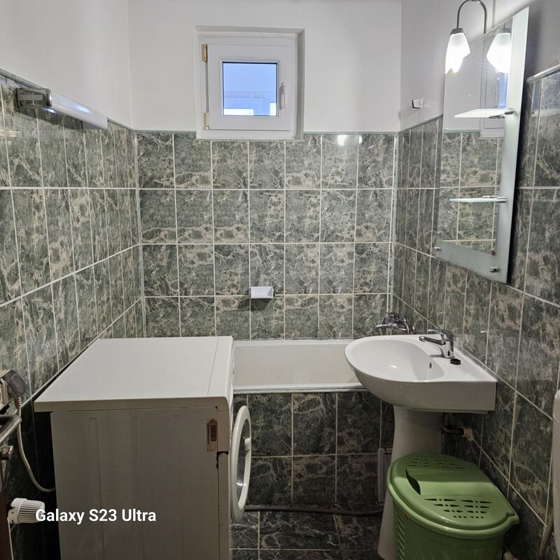 Camil Ressu, Park Lake,