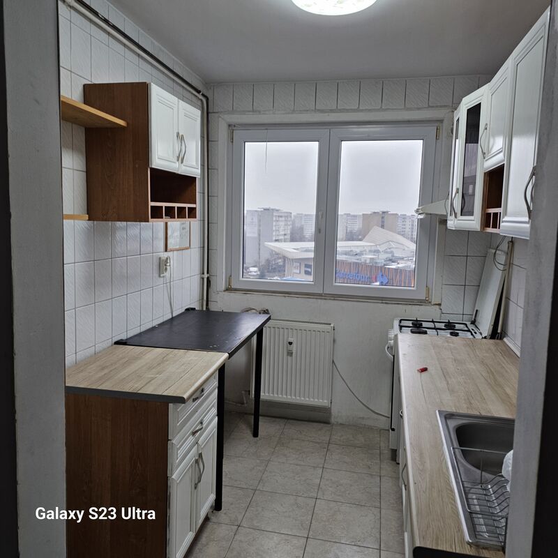 Camil Ressu, Park Lake,