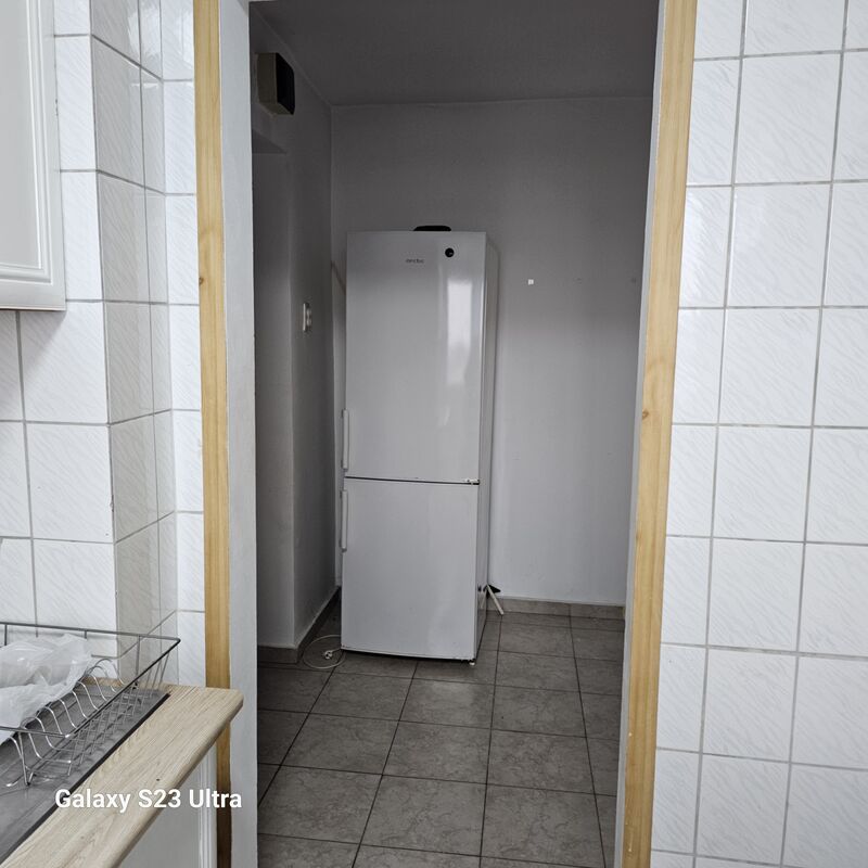 Camil Ressu, Park Lake,