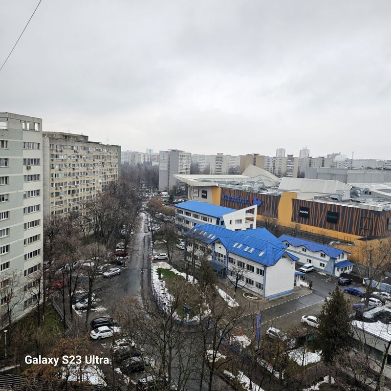 Camil Ressu, Park Lake,